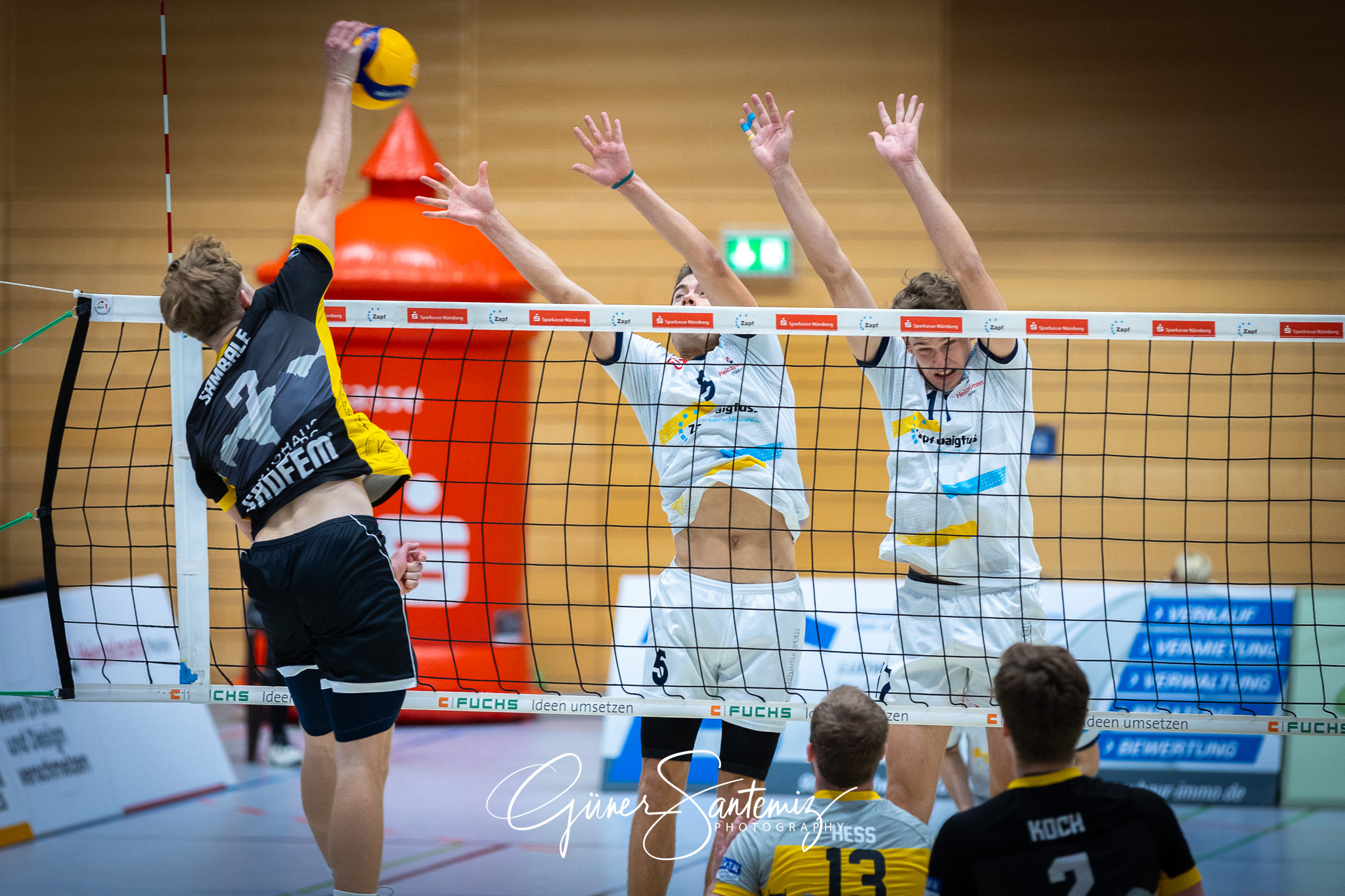 SV Schwaig Volleyball - TSV Grafing - Volleyball - 2. Bundesliga
