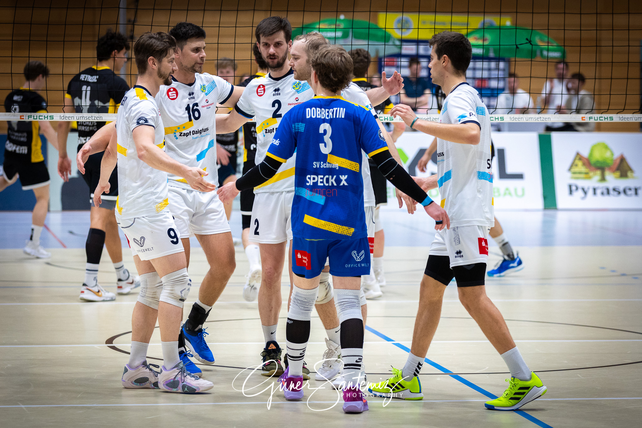 SV Schwaig Volleyball - TSV Grafing - Volleyball - 2. Bundesliga