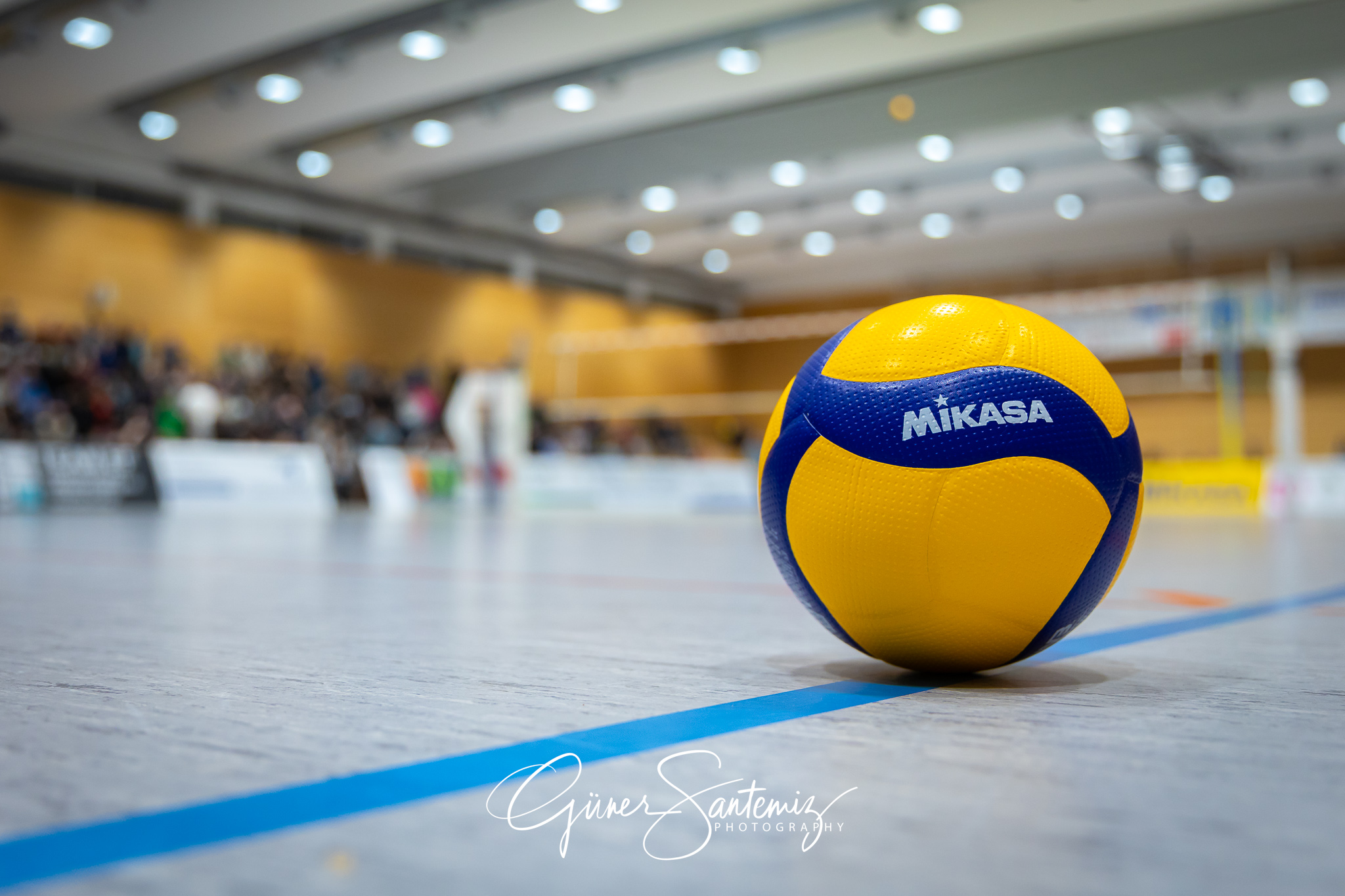 SV Schwaig Volleyball - CERATONIA Volleys Eltmann  - Volleyball