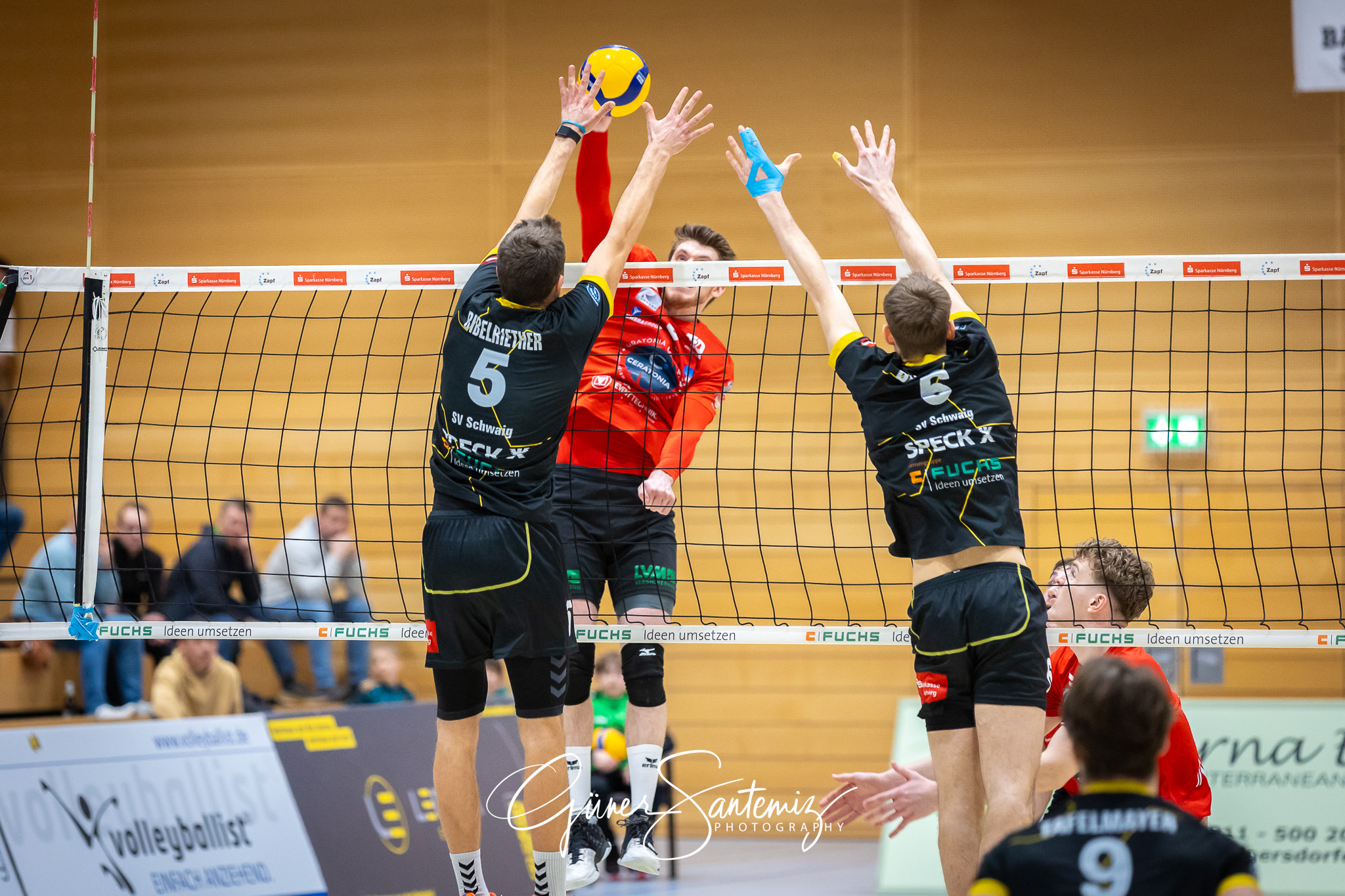 SV Schwaig Volleyball - CERATONIA Volleys Eltmann  - Volleyball