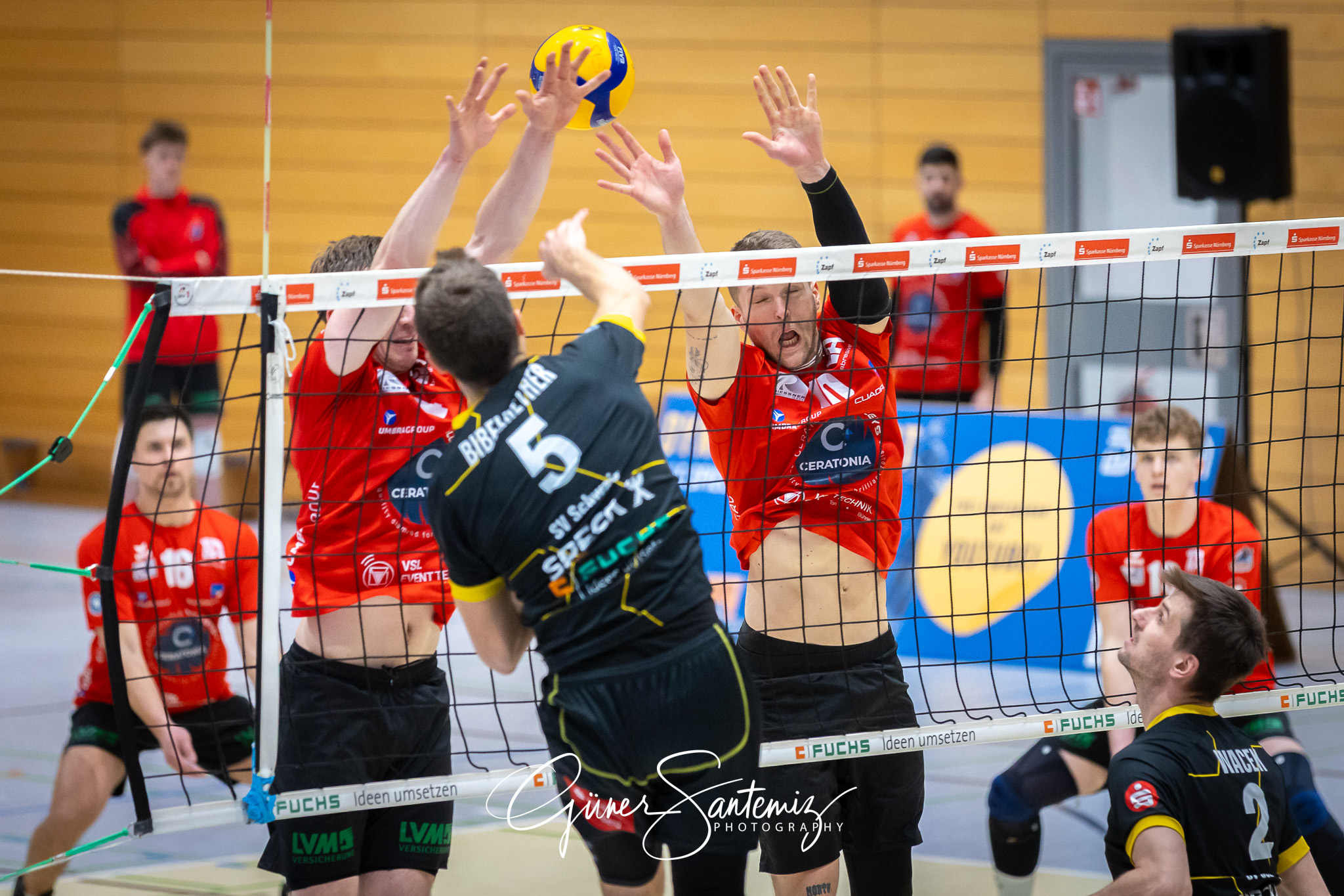 SV Schwaig Volleyball - CERATONIA Volleys Eltmann  - Volleyball