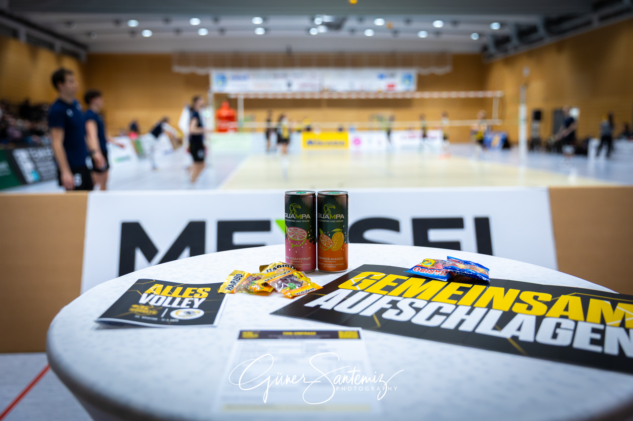 SV Schwaig Volleyball - TSV Grafing - Volleyball - 2. Bundesliga