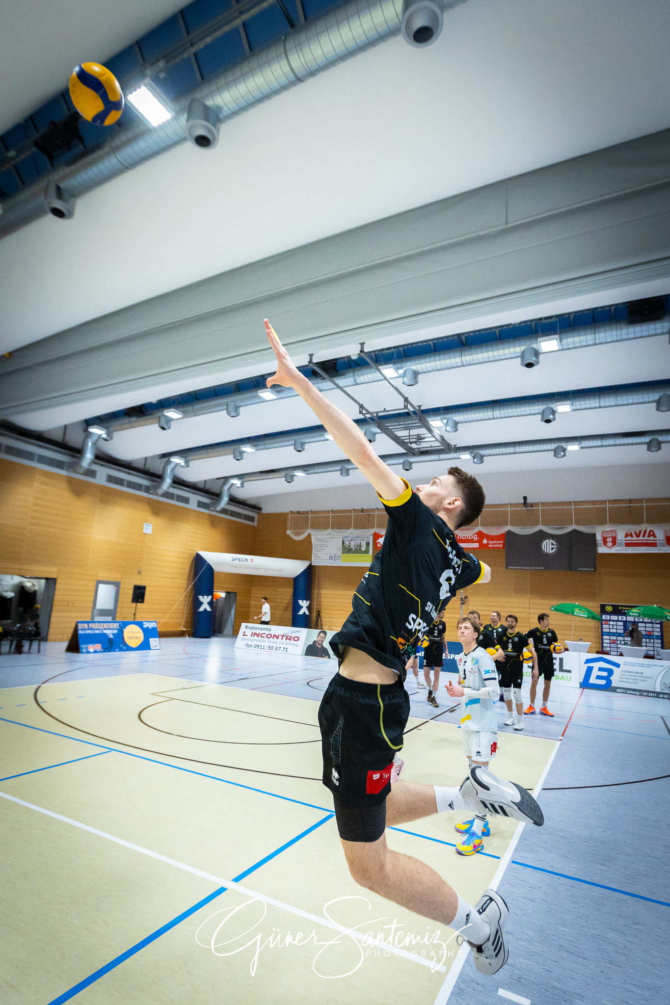 SV Schwaig Volleyball - TSV Grafing - Volleyball - 2. Bundesliga