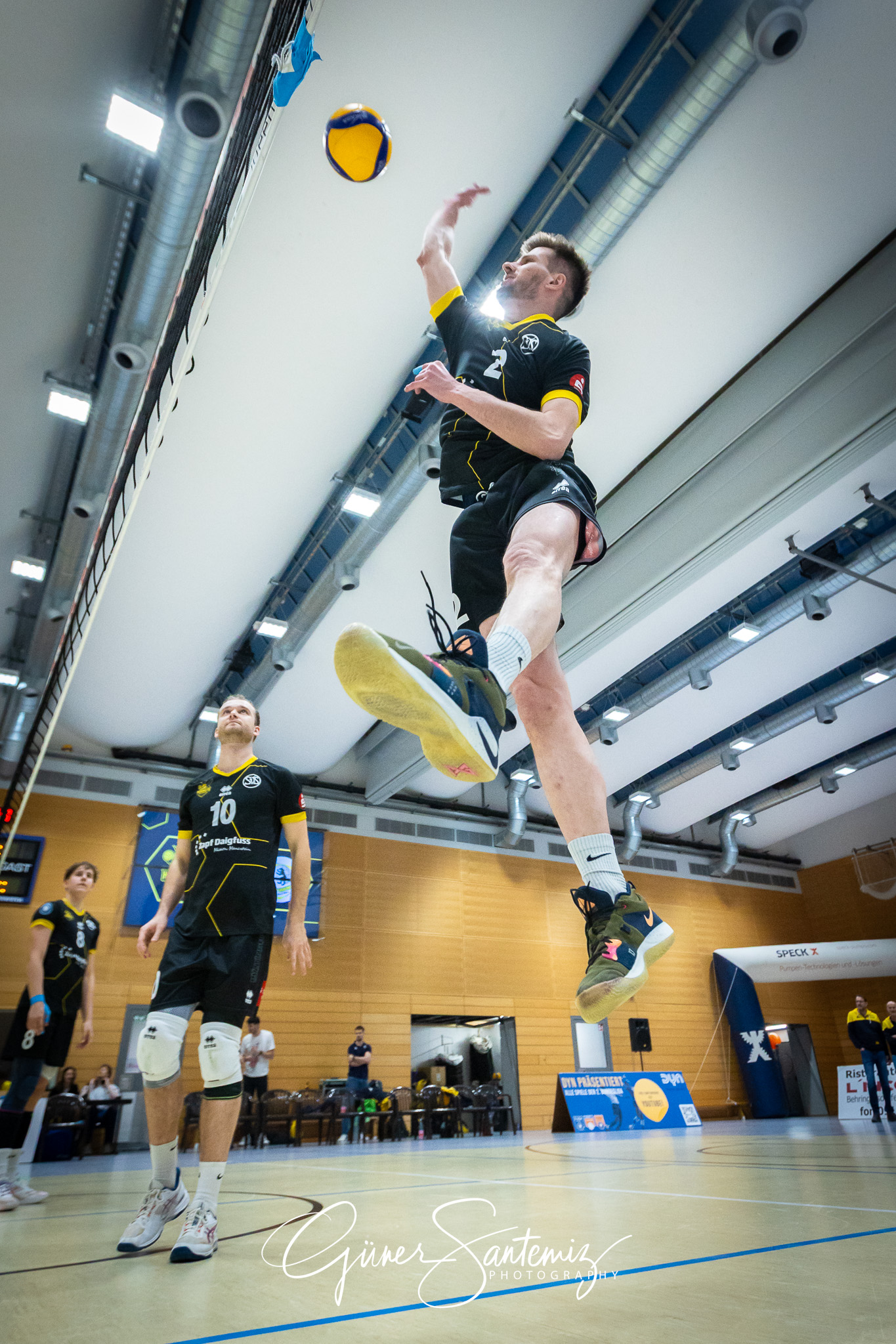 SV Schwaig Volleyball - TSV Grafing - Volleyball - 2. Bundesliga