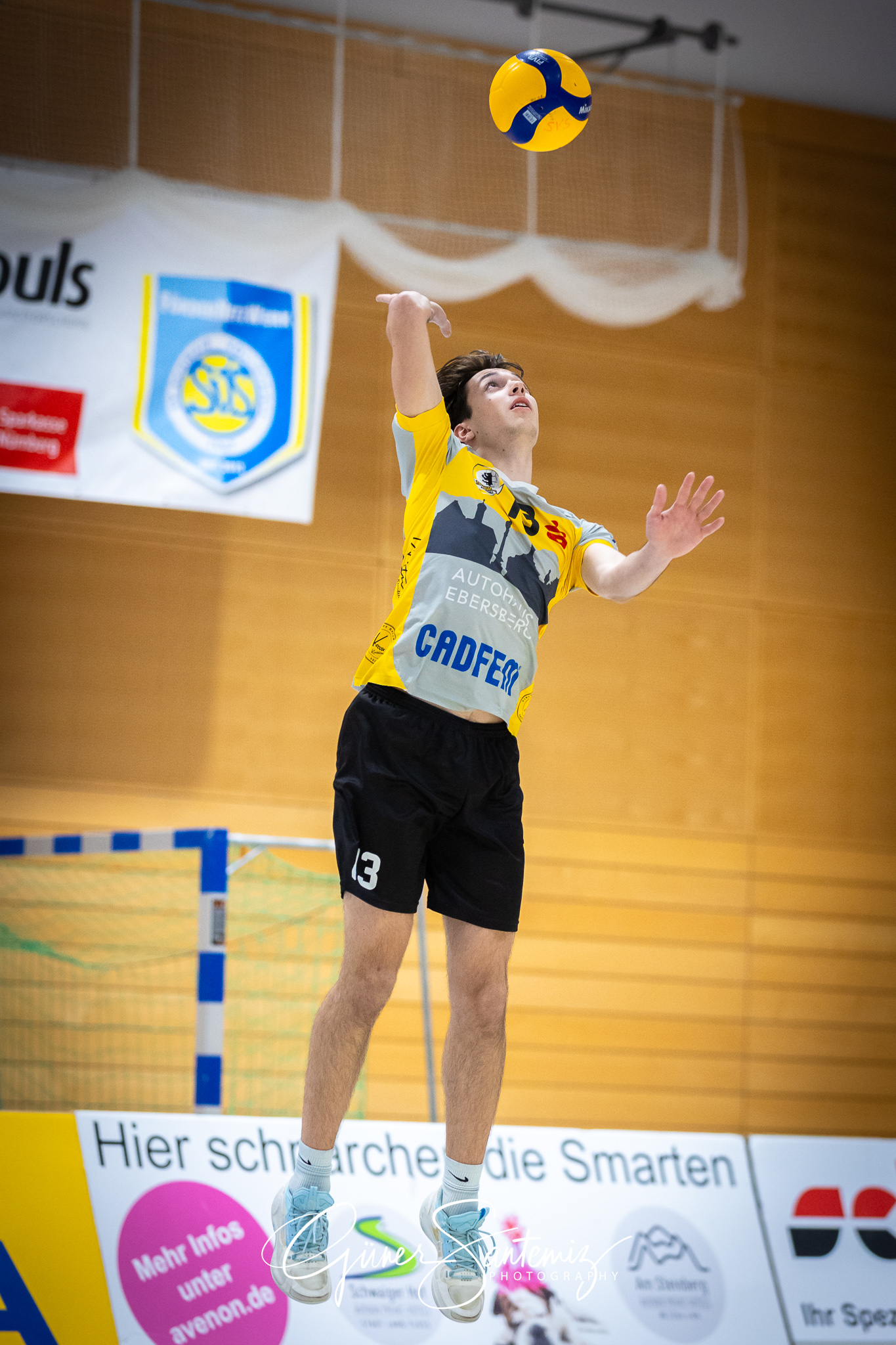 SV Schwaig Volleyball - TSV Grafing - Volleyball - 2. Bundesliga