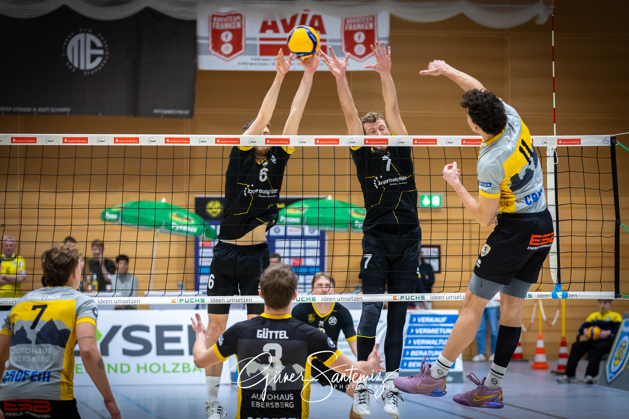 SV Schwaig Volleyball - TSV Grafing - Volleyball - 2. Bundesliga