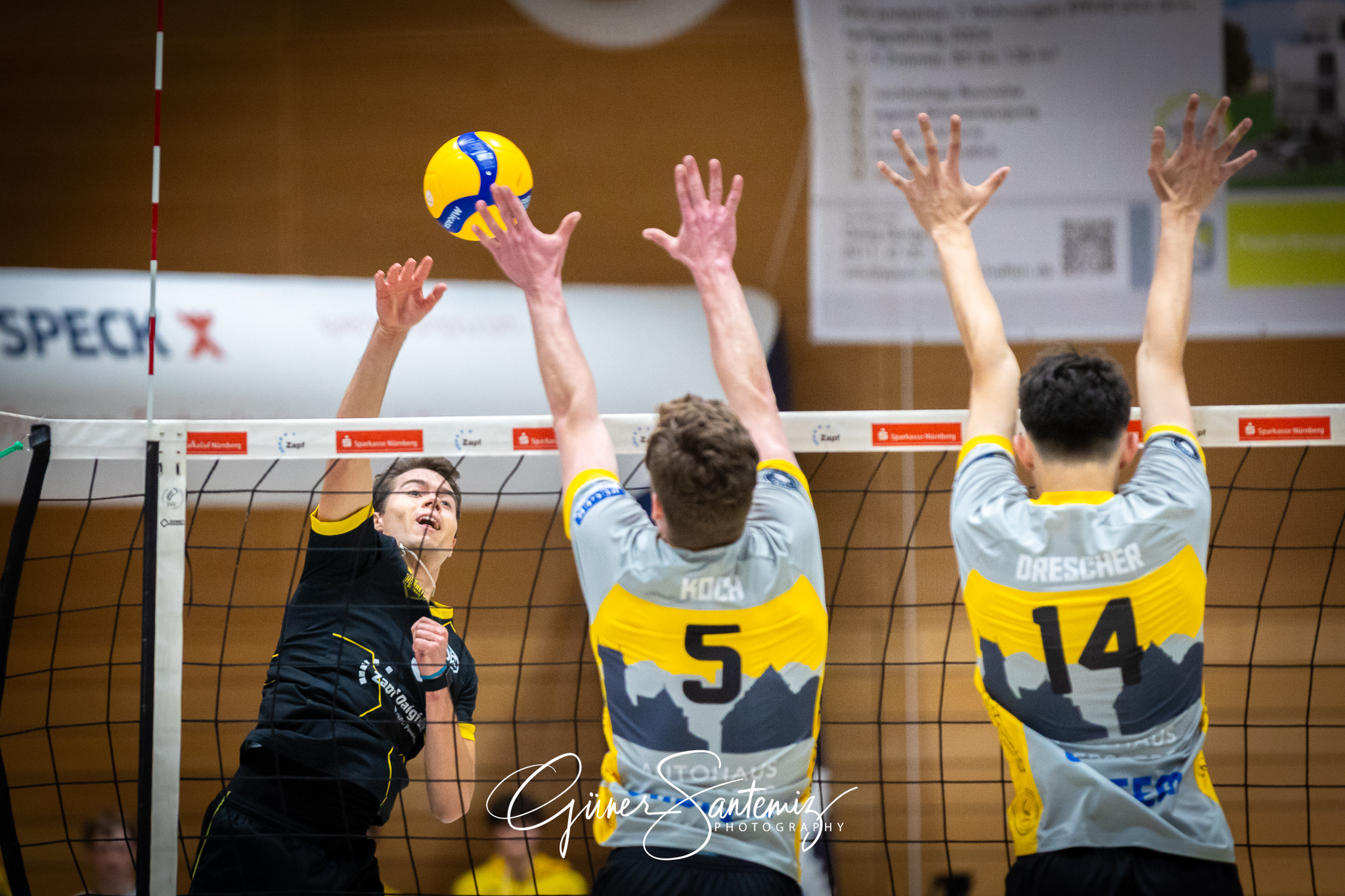SV Schwaig Volleyball - TSV Grafing - Volleyball - 2. Bundesliga