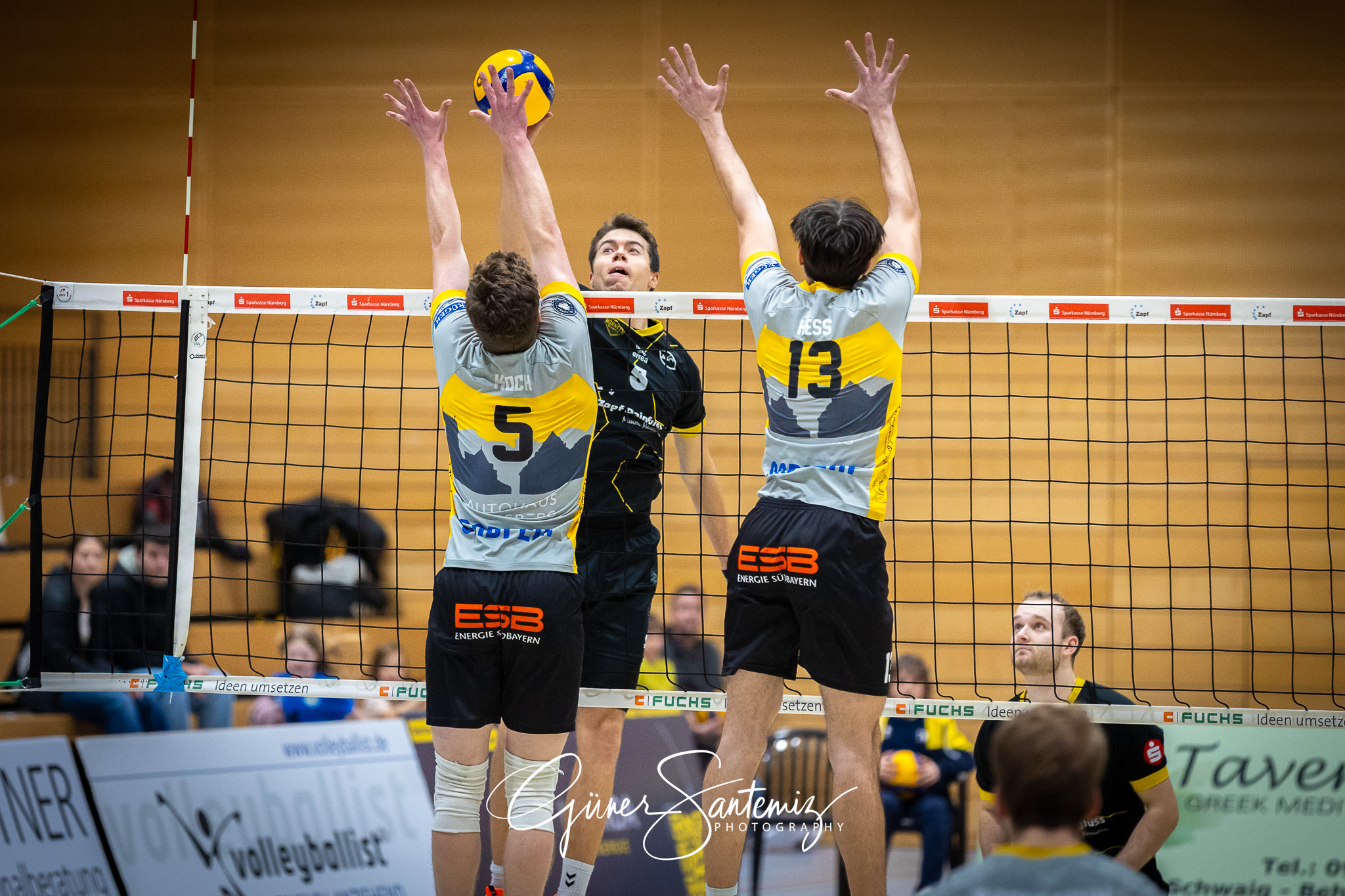 SV Schwaig Volleyball - TSV Grafing - Volleyball - 2. Bundesliga