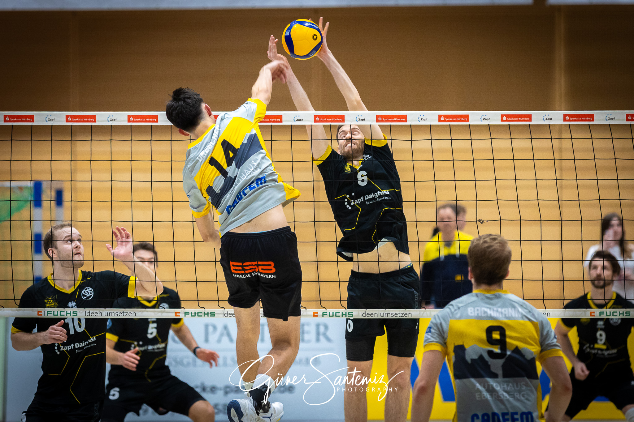 SV Schwaig Volleyball - TSV Grafing - Volleyball - 2. Bundesliga