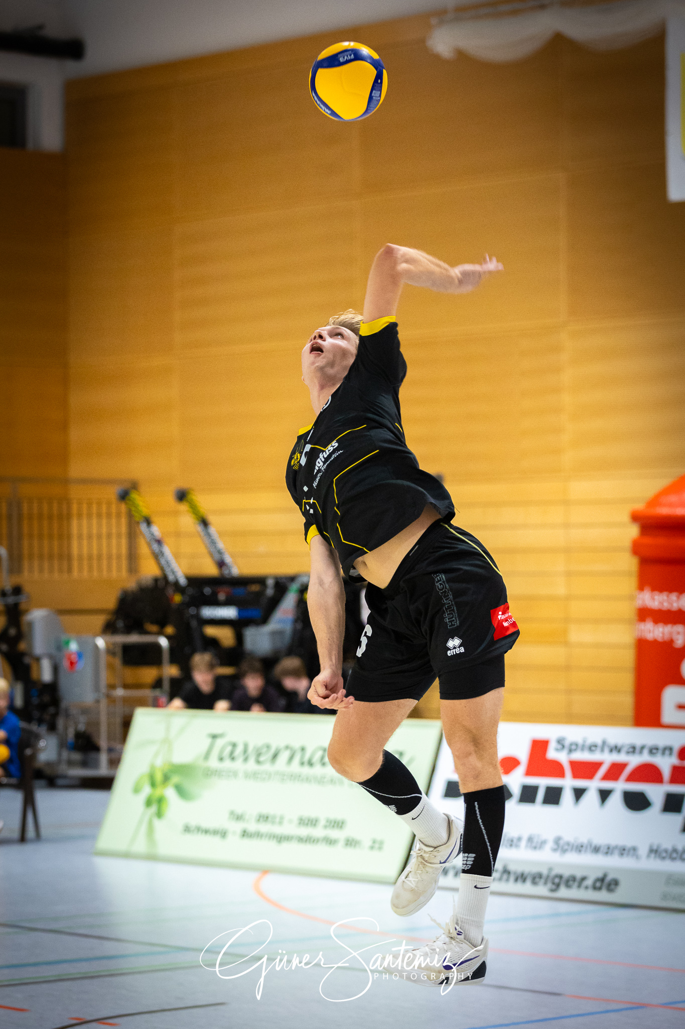 SV Schwaig Volleyball - TuS Kriftel - Volleyball - 2. Bundesliga